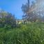 land for sale asgata limassol 8890412 thumbnail 17319694