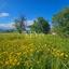 land for sale asgata limassol 8890412 thumbnail 17319697