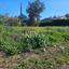 land for sale asgata limassol 8890412 thumbnail 17319698