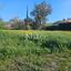 land for sale asgata limassol 8890412 thumbnail 17319699