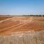 land for sale avgorou famagusta 8772412 thumbnail 16599210
