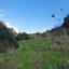 land for sale kallepeia paphos 1410412 thumbnail 16701058