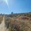 land for sale peyia paphos 638412 thumbnail 17627054