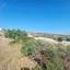land for sale peyia paphos 638412 thumbnail 17627059