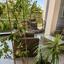 2 bedroom apartment for rent potamos germasogeias limassol 8926512 thumbnail 17619966