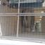 6 bedroom detached house for sale aradippou larnaca 7906512 thumbnail 16533704