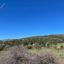 land for sale peristerona pafou paphos 8408512 thumbnail 16306712