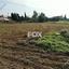 land for sale potamitissa limassol 1190512 thumbnail 5568211