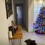 3 bedroom apartment for sale tseri nicosia 8325612 thumbnail 14266054