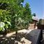 3 bedroom detached house for sale coral bay paphos 7495612 thumbnail 12588129