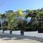 4 bedroom detached house for sale agios tychonas limassol 1304612 thumbnail 6263834