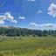 land for sale lympia nicosia 8244612 thumbnail 15596199