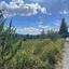 land for sale lympia nicosia 8244612 thumbnail 15596201