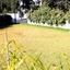 4 bedroom detached house for sale strovolos nicosia 1150712 thumbnail 5120589