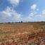 land for sale frenaros famagusta 8628712 thumbnail 16276371