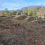 land for sale kyperounta limassol 1545712 thumbnail 5865381