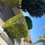 2 bedroom apartment for rent tombs of the kings paphos 8716812 thumbnail 16306956