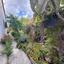 3 bedroom bungalow for sale meneou larnaca 8531812 thumbnail 15466445