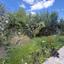 3 bedroom bungalow for sale meneou larnaca 8531812 thumbnail 15576622