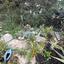 3 bedroom bungalow for sale meneou larnaca 8531812 thumbnail 15576628