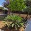 3 bedroom town house for rent pyrgos limassol limassol 8809812 thumbnail 17266005