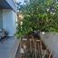 5 bedroom detached house for sale konia paphos 7697812 thumbnail 9993315