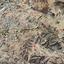 land for sale lympia nicosia 8174812 thumbnail 13549913