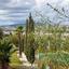 studio hotel for sale alethriko larnaca 7908812 thumbnail 16560357