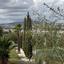 studio hotel for sale alethriko larnaca 7908812 thumbnail 16560453