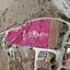 8300 SQM Land for sale in Choletria, Paphos thumbnail 14063964