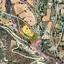 land for sale kalavasos larnaca 1419912 thumbnail 9218025
