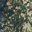 land for sale koilani limassol 8433912 thumbnail 15595000