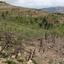 land for sale koilani limassol 8433912 thumbnail 15595004