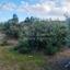 land off market pera chorio nisou nicosia 1151912 thumbnail 5144446
