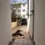 3 bedroom detached house for rent agios dometios nicosia 8740022 thumbnail 16377481