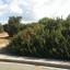 4 bedroom detached house for sale secret valley paphos 7740022 thumbnail 14610769