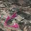 land for sale apsiou limassol 1650022 thumbnail 10051224