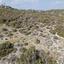 land for sale ora larnaca 1029022 thumbnail 15603265