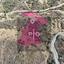 land for sale pano pyrgos nicosia 8275022 thumbnail 15157018
