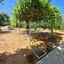 5 bedroom detached house for sale chlorakas paphos 8946122 thumbnail 17699279