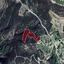 land for sale ora larnaca 7452122 thumbnail 9216655