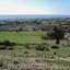 plot for sale peyia paphos 7543122 thumbnail 10282967