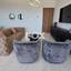 3 bedroom apartment for rent panthea limassol 1769222 thumbnail 11090720