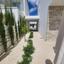 3 bedroom detached house for rent peyia paphos 8723322 thumbnail 16326015