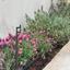 4 bedroom detached house for rent agios athanasios limassol 8785322 thumbnail 16649018