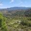 land for sale kato platres limassol 1240322 thumbnail 1941188