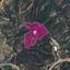 land for sale kato pyrgos nicosia 1650322 thumbnail 5668171
