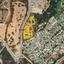 plot for sale pissouri limassol 1889322 thumbnail 7120077