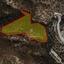 land for sale agios tychonas limassol 8880422 thumbnail 17271584