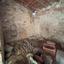 1 bedroom semi detached house for sale vouni limassol 8808522 thumbnail 16812681